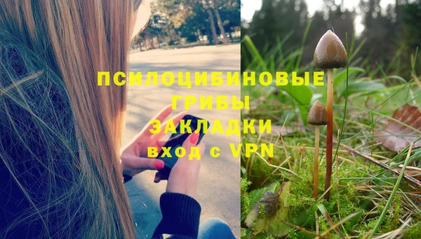 трава Абинск