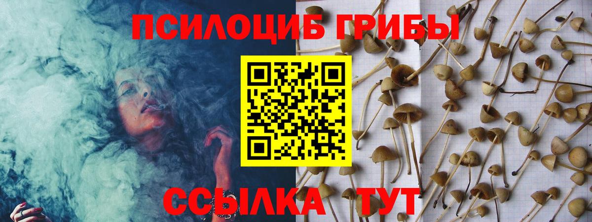 Псилоцибиновые грибы Psilocybine cubensis  Вход с VPN  Ефремов 